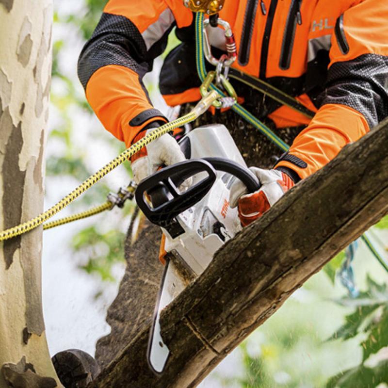 stihl MSA 161 T Chainsaw Cordless for Sale MKM Agriculture