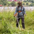 Stihl FS 240 C-E Brushcutter