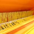 Chapman PC120 Sweeper