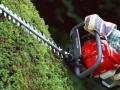 Honda HHH25S 75E Hedgetrimmer
