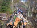 Kellfri Tipping and Forestry Trailer