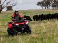 CFMOTO CFORCE 520