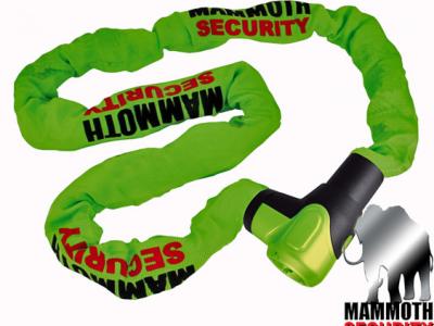 MAMMOTH Security Integral Lock