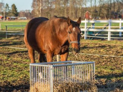 Kellfri Horse feeder box