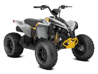 can-am Renegade STD 110 EFI
